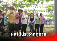 สิงห์บุรี I สำนักงานเกษตรจังหวัด จัดกิจกรรมประชาสัมพันธ์ผลไม้ประจำฤดูกาล