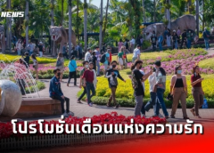 ชลบุรี I สวนนงนุชพัทยา จัดโปรโมชั่นเดือนแห่งความรัก เข้า 4 จ่าย 2 พิเศษสุด 5 คนขึ้นไปลด 50%