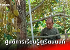 นนทบุรี I ศูนย์การเรียนรู้ สวนทุเรียนนนทบุรี เพาะพันธุ์ทุเรียนสายพันธ์ดั้งเดิม