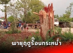 ชลบุรี I พายุฤดูร้อนกระหน่ำ ต้นไม้ใหญ่หักโค่นล้มขวางถนนบ้านเรือนได้รับความเสียหาย