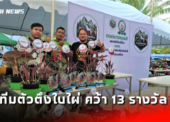 ชลบุรี I ทีมตัวตึงใบไผ่ คว้า 13 รางวัล จากประกวดบอนสีงาน “เขาชีโอน เกษตร เฟสติวัล” 66