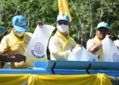 สตูล I จัดกิจกรรมจิตอาสาปล่อยพันธุ์สัตว์น้ำ 100,000 ตัว เนื่องในวันฉัตรมงคล