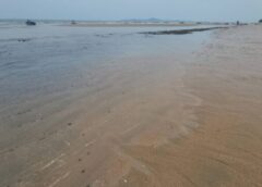 ชลบุรี I คราบน้ำมัน ลอยในทะเลจอมเทียน ผู้ประกอบการร่มเตียง ปิดให้บริการชั่วคราว รอหน่วยงานที่เกี่ยวข้องเข้ามาแก้ไข