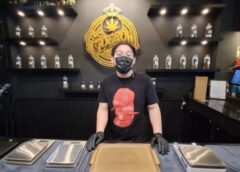 นนทบุรี I หนุ่มไทย กูรู กัญชา ตัวพ่อจากทวีปอเมริกาเหนือ แนะ ก้าวไกล หาทางออกร่วมกับผู้ประกอบการ ดัน กัญชา เป็นพืชเศรษฐกิจ