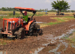 สุพรรณบุรี I ชาวนาไถกลบงดเผาตอซังข้าวลดต้นทุนเพิ่มผลผลิตเพิ่มรายได้