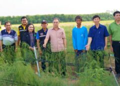 สิงห์บุรี I ผู้ว่าราชการจังหวัด ลงพื้นที่เยี่ยมชมและสอบถามข้อมูลการทำการเกษตร