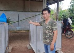 หนองคาย I ลูกกตัญญู หนุ่มวิศวกร ใช้เวลาว่างเลี้ยงตั๊กแตนปาทังก้า “โมจีน” เลี้ยงเล่นๆ กลายเป็นเงินสร้างรายได้