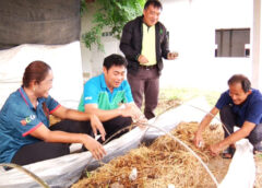 สุพรรณบุรี I เสริมทักษะต่อยอดให้เกษตรกรนำฟางไปทำปุ๋ยหมักปลูกผักคลุมดินเพิ่มผลผลิตเพิ่มรายได้