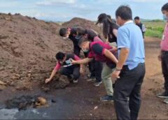 พะเยา I คืบหน้าผู้ว่าฯ สั่งด่วนให้ ปศุสัตว์ สาธารณสุขอำเภอ ศูนย์ดำรงตรวจสอบ กองทัพแมลงวันบุกยึดหมู่บ้าน