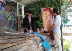 พะเยา I ขอโชคตอตะเคียนทองโบราณ อายุ 500 ปี