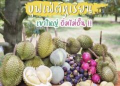 8 ก.ค นี้ เริ่มแล้ว ปุฟเฟ่ต์ ทุเรียนปากช่อง