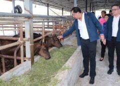 มุกดาหาร I อนุชา ดันโครงการ “โคล้านครอบครัว” สร้างอาชีพ สร้างรายได้  เพิ่มความมั่งคั่ง มั่นคงให้เศรษฐกิจฐานราก