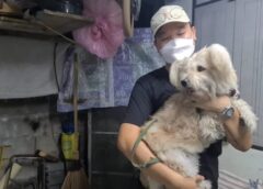 นนทบุรี I เจ้าของบ้านสุดผวาตำหนิหมาตัวเอง หลังวิ่งหนีตีนแมว ไม่ยอมเห่า