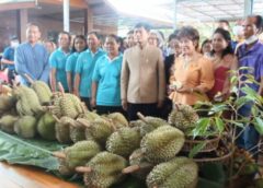 ศรีสะเกษ I ผู้ว่าฯศรี แถลงข่าว“การจัดงานเทศกาลทุเรียนภูเขาไฟ ปี 2566