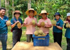 สตูล I อดีตไกด์เปิดสวนวาสนาดีศูนย์รวมทุเรียน 100 สายพันธุ์พื้นเมืองโบราณ