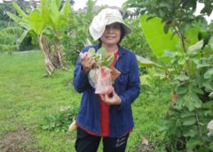 หนองคาย I หญิงเหล็กผู้ไม่ยอมแพ้ปลูก กิมจู-หงเป่าซือ พืชเศรษฐกิจตัวใหม่ แทนส้มเขียวหวาน