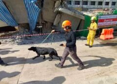 กทม. I ปฏิบัติการใช้สุนัข K9 ค้นหาร่างผู้สูญหายใต้สะพานถล่ม