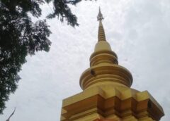 พะเยา I ฝูงผึ้งหลวงป่าแห่ทำรังองค์พระธาตุ 3 ศิลปะโบราณล้านนา อายุกว่า 500 ปี 1 เดียวล้านนา