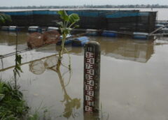 มุกดาหาร I น้ำโขงสูงขึ้นต่อเนื่องอีก 3.64 เมตร ถึงระดับวิกฤต