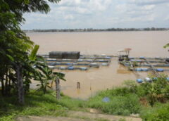 มุกดาหาร I ปริมาณน้ำโขงที่เพิ่มสูงขึ้นอย่างต่อเนื่อง โดยระดับน้ำวัดที่ส่วนอุทกวิทยา 3 วัดได้ 9.34 เมตร