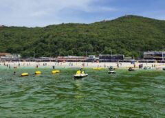 ชลบุรี I ทะเลเกาะล้าน น้ำเขียวอีกแล้วแต่นักท่องเที่ยวยังเล่นน้ำปรกติ