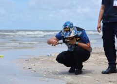 ชลบุรี I นักวิชาการ ทช.2 ยันเหตุปลาตายเกลื่อนชายหาด ไม่เกี่ยวคราบน้ำมันในทะเล