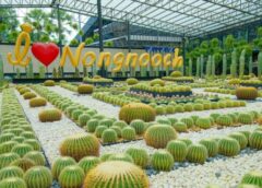 ชลบุรี I ต่อโปรเที่ยว สวนนงนุชพัทยา ผู้สูงอายุลด 50% ตลอดกันยายน 2566