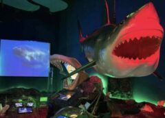 ชลบุรี I รอยัลการ์เด้นพัทยา เปิด 8 โซนริบลีส์ รับเทศกาลฮาโลวีน