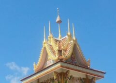 พะเยา I ต่อหัวเสือ บุกทำรังขนาดใหญ่ คล้ายลูกระฆัง บนยอดฉัตรหอระฆัง