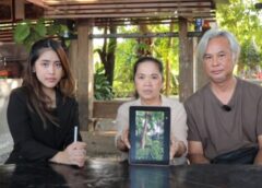 นนทบุรี I สองสามีภรรยา ร้องทนายนินู บ้านถูกต้นไม้ของ กทพ.ล้มทับหลังคาปัดความรับผิดชอบ