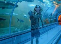 นครสวรรค์ I แหล่งท่องเที่ยวบึงบอระเพ็ด จัดฟรี 5 ธันวาคม วันพ่อแห่งชาติ วัยรุ่น 60 ปีอัพ ผู้พิการ เด็ก 5 ขวบก็ฟรี