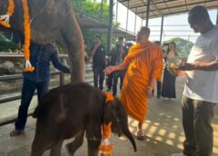 ชลบุรี I สวนนงนุชพัทยา จัดพิธีรับขวัญน้องช้าง พังนพมาศ เชือกที่ 5อย่างยิ่งใหญ่ ส่งท้ายปี 2566