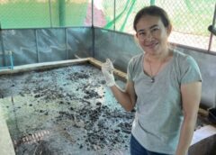 นครสวรรค์ I ฟาร์มยักษ์เขียว จำหน่ายมูลไส้เดือน ใหญ่ที่สุดใน อ.ตาคลี