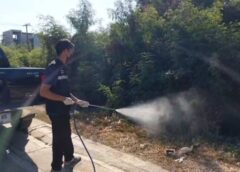 นนทบุรี I พบหัวหมูเถื่อนเกลื่อนป่าหญ้า ชาวบ้านผวาหวั่นแพร่เชื้อโรคในชุมชน