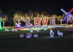 นครสวรรค์ I อบจ. เตรียมความพร้อม สั่งเพิ่มไฟแสงสี จัดเต็มงาน Bueng Boraphet Contest Festival 2024