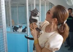 “นางฟ้าของหมา-แมวจร ” ผอ.พรทิพา ทุ่มงบกว่า 2 ล้านสร้างคฤหาสน์หรูให้หมาแมวอยู่สบาย