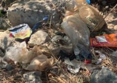 นนทบุรี I พบซากหัวสัตว์จำนวนมากมาทิ้งส่งกลิ่นเหม็นเน่าผิด พรบ. สาธารณสุข