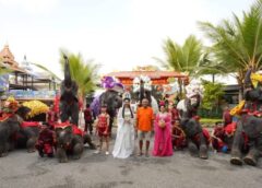 ชลบุรี I สวนนงนุชพัทยา  ต้อนรับเทศกาลตรุษจีนปีมังกรทอง จัดขบวนช้างแสนรู้เชิดสิงโต อวยพรให้นักท่องเที่ยว