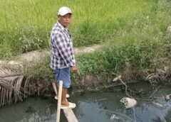 นนทบุรี I ชาวนาร้อง หมู่บ้านปล่อยน้ำเสียลงนาปลูกข้าวนานกว่า 3 ปี ทำต้นข้าวตาย ร้องไปหลายหน่วยงานแล้ว แต่ยังแก้ไขไม่ได้