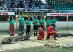 สมุทรปราการ I แถลงข่าวการเปิดฟาร์มจระเข้ สมุทรปราการอย่างเป็นทางการอีกครั้ง