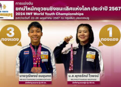 ผลงานดี