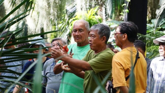 ชลบุรี I สวนนงนุชพัทยา ต้อนรับชมรมผู้ปลูกเลี้ยงลิ้นมังกรฯ ประชุมและนำสายพันธุ์หายากมาโชว์ให้ทุกท่านได้ชม