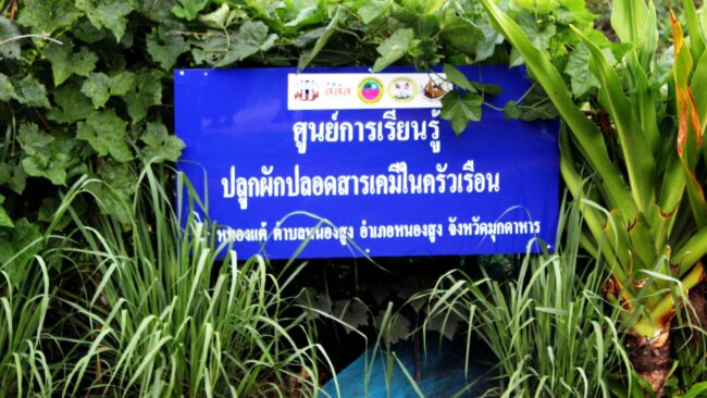 มุกดาหาร I สำนักงานพัฒนาชุมชน นำครัวเรือนยากจน ฝึกอาชีพที่เหมาะสมตามหลักปรัชญาเศรษฐกิจพอเพียง