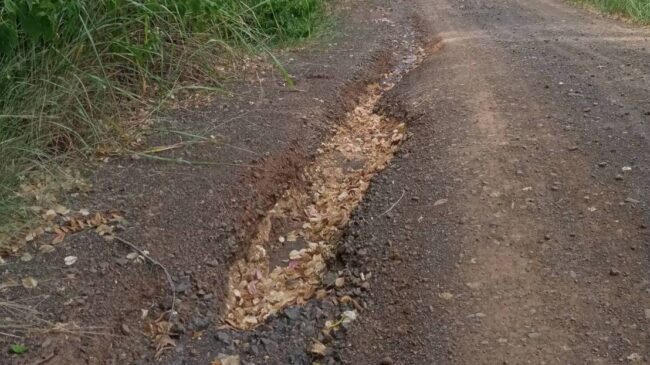 นครราชสีมา I น้ำกัดเซาะผุพัง ไร้คนดูแล ถนนจากหมู่บ้านหนองกก หมู่ 7 อบต.ภูหลวง อ.ปักธงชัย ไปวัดเสาเดี่ยว ยาว 2 กม.