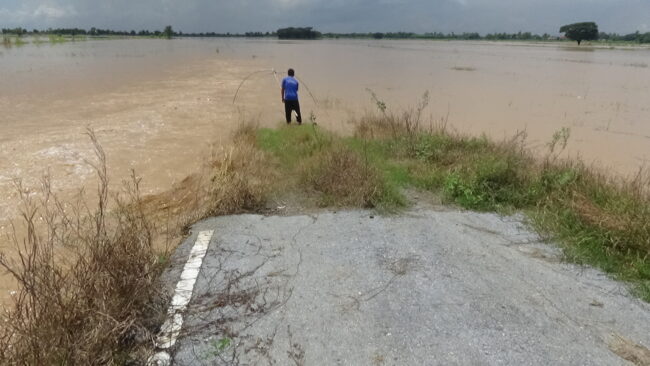 พิษณุโลก : สถานการณ์น้ำแม่น้ำยมช่วงผ่าน จ.พิษณุโลก พีคสูงสุด ผันเข้าทุ่งบางระกำโมเดลกว่า 15%