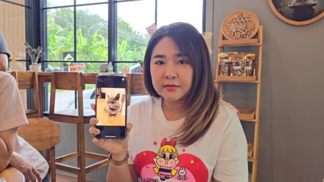 นนทบุรี​ : ทาสแมวใจสลาย ​พาน้องไปอาบน้ำ​ กลับมาไม่ทันข้ามวัน น้องแมวเสียชีวิต