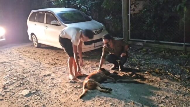 นนทบุรี​ : ไอ้สาม หมาจรจัดดุร้าย​ ก่อเหตุกัดชาวบ้านรายที่​ 7 ​เจ้าของที่โล่งอก