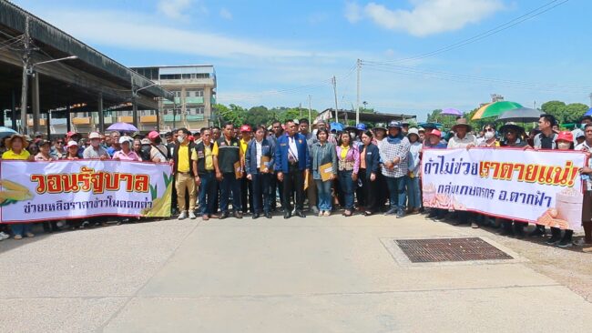 นครสวรรค์ : เกษตรกรกว่า 600 คน ยื่นหนังสือ หลังราคาข้าวโหดเลี้ยงสัตว์ตกต่ำที่ ให้เร่งดำเนินการอย่างเร่งด่วน