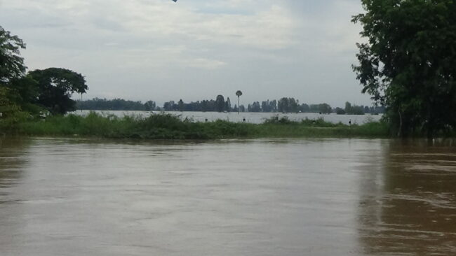 พิษณุโลก : แม่น้ำลำคลองทุกสายลดระดับลงอีกครั้งแม้มีฝนตก ชาวบ้าน พรหมพิราม ขอความช่วยเหลือเรื่องอาหารสัตว์