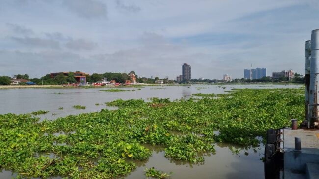 นนทบุรี : ประชาชนบ้านเรือนนอกคันกันน้ำเฝ้าระวังน้ำหลากเตรียมยกของขึ้นที่สูง